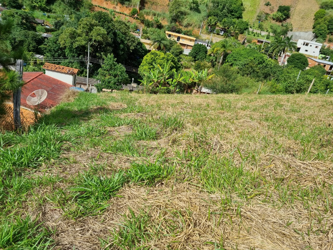 Terreno  Venda em Paty do Alferes