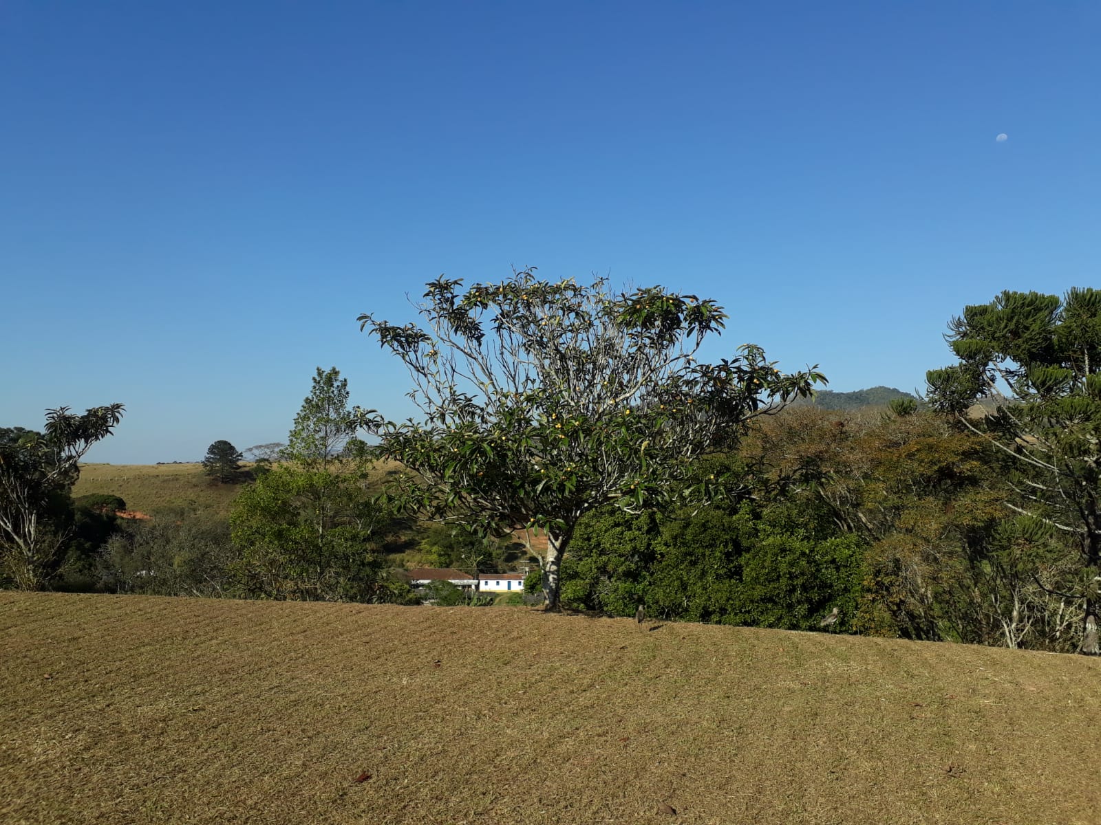 TERRENO A VENDA EM MIGUEL PEREIRA 